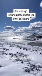 #sailingsouth #sailingadventure #antarctica #southernocean #sailingexpedition #sailingantarctica #weddellsea #highlatitudesailing #neverstopexploring #memoriesforlife #selmaexpeditions