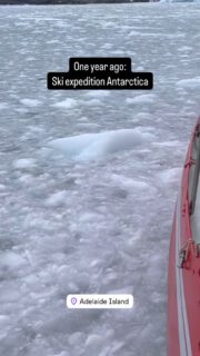 One year ago we landed on the southern coast of Adelaide Island, near the abandoned Chilean Antarctic Research Station Teniente Carvajal. Started to a ski and pulka expedition up to the ice shield. Magic moments! #selmaexpeditions #sailingsouth #sailingexpedition #antarctica #sailingadventure #highlatitudesailing #sailingantarctica #shackleton #skiexpedition #adelaideisland #adelaideislandantartica #morningsun #adventure #playingoutdoors