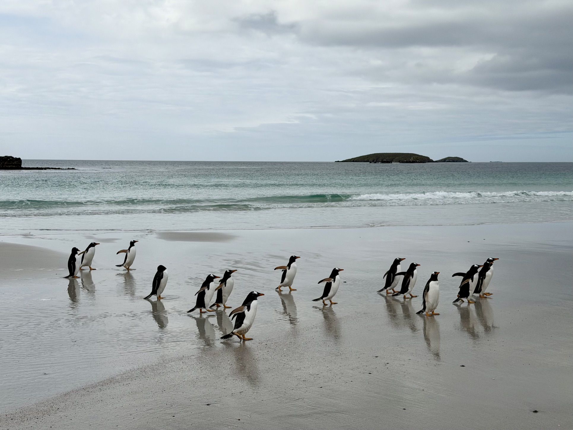 Epilogue: Falkland Islands