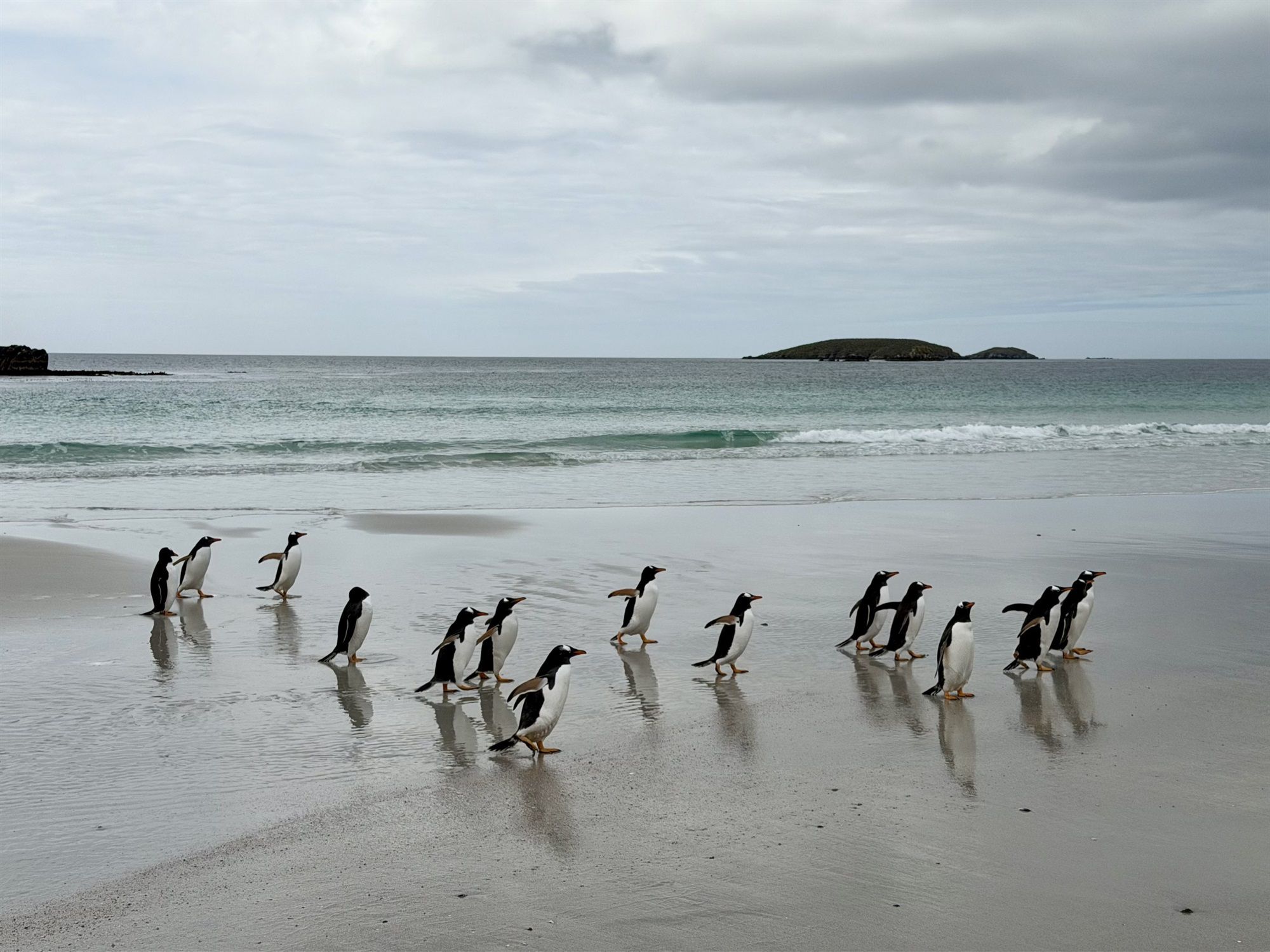 Epilogue: Falkland Islands